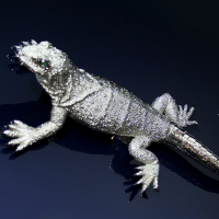 Сейф Stockinger SIRIUS REPTILE