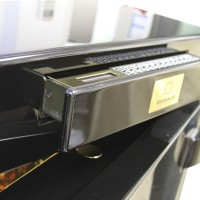 Сейф Stockinger CHIMERA