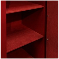 Сейф Burg–Wachter MTD 48 E lak  green