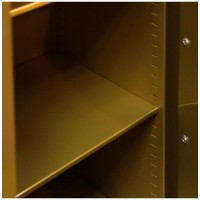 Сейф Burg–Wachter MTD 48 E lak  green