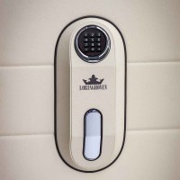 Сейф Loringhoven Amalia midi