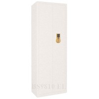 Сейф оружейный Gunsafe BS9810 UN EL